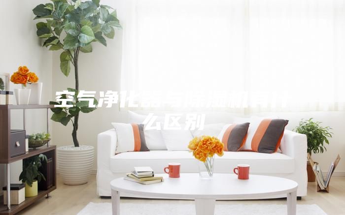 空氣凈化器與除濕機有什么區別
