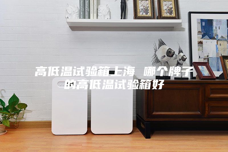 高低溫試驗(yàn)箱上海 哪個(gè)牌子的高低溫試驗(yàn)箱好