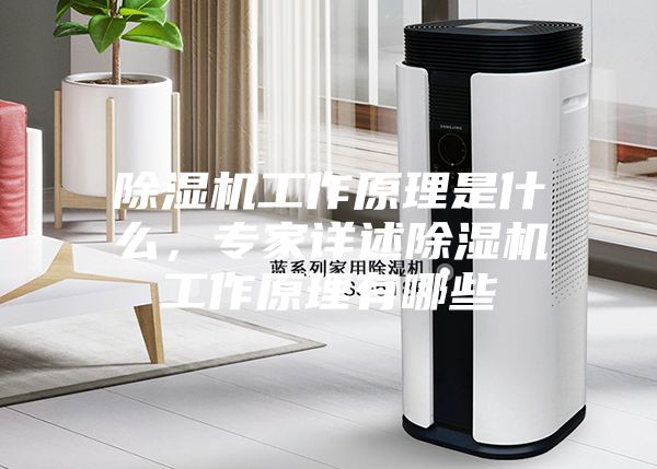除濕機(jī)工作原理是什么，專家詳述除濕機(jī)工作原理有哪些