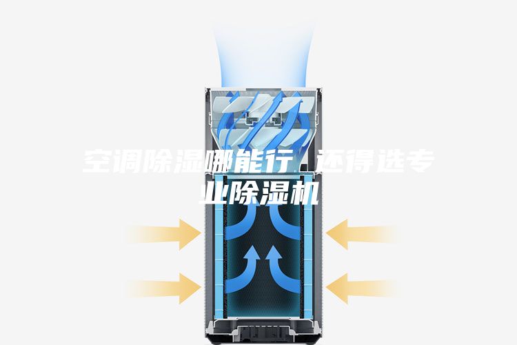 空調除濕哪能行 還得選專業除濕機
