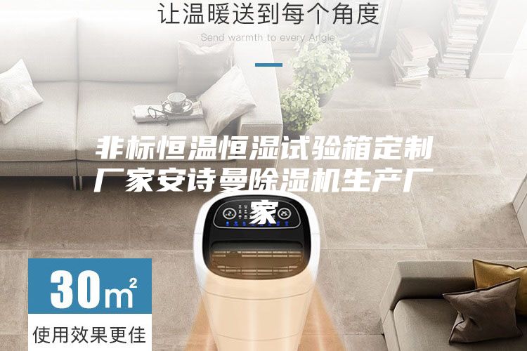非標(biāo)恒溫恒濕試驗箱定制廠家安詩曼除濕機生產(chǎn)廠家