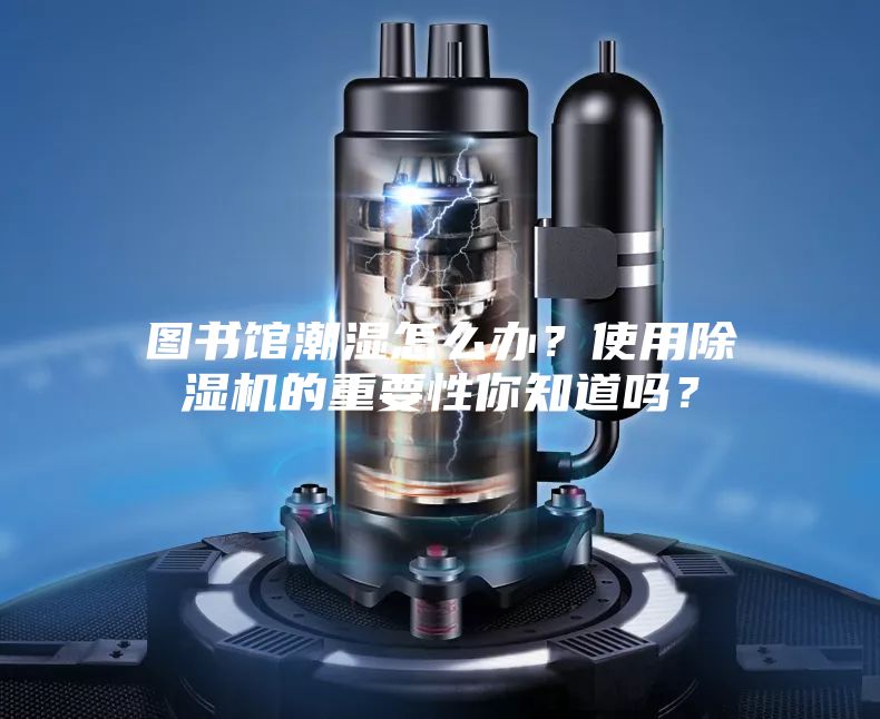 圖書館潮濕怎么辦?使用除濕機(jī)的重要性你知道嗎?