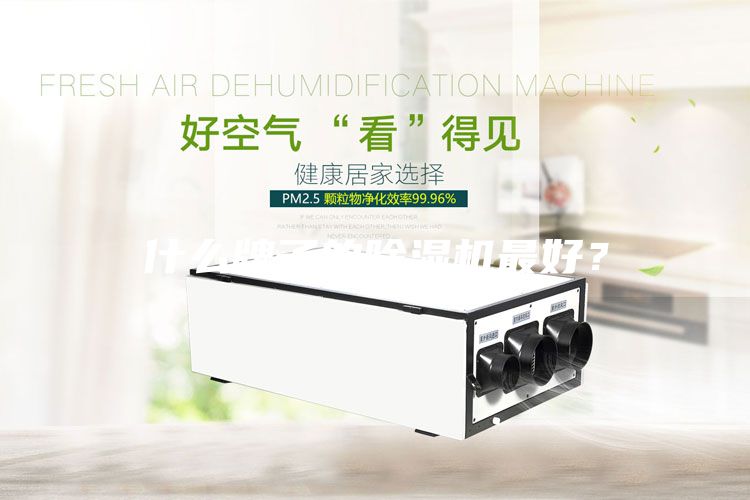 什么牌子的除濕機最好?