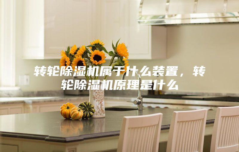 轉輪除濕機屬于什么裝置,轉輪除濕機原理是什么