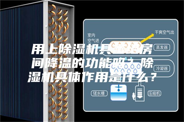 用上除濕機具備給房間降溫的功能嗎？除濕機具體作用是什么？