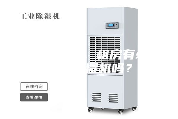 初到南方，租房有必要買除濕機嗎？