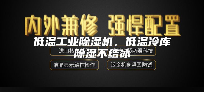 低溫工業(yè)除濕機，低溫冷庫除濕不結(jié)冰