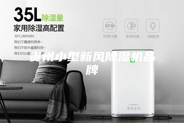 貴州小型新風(fēng)除濕機品牌