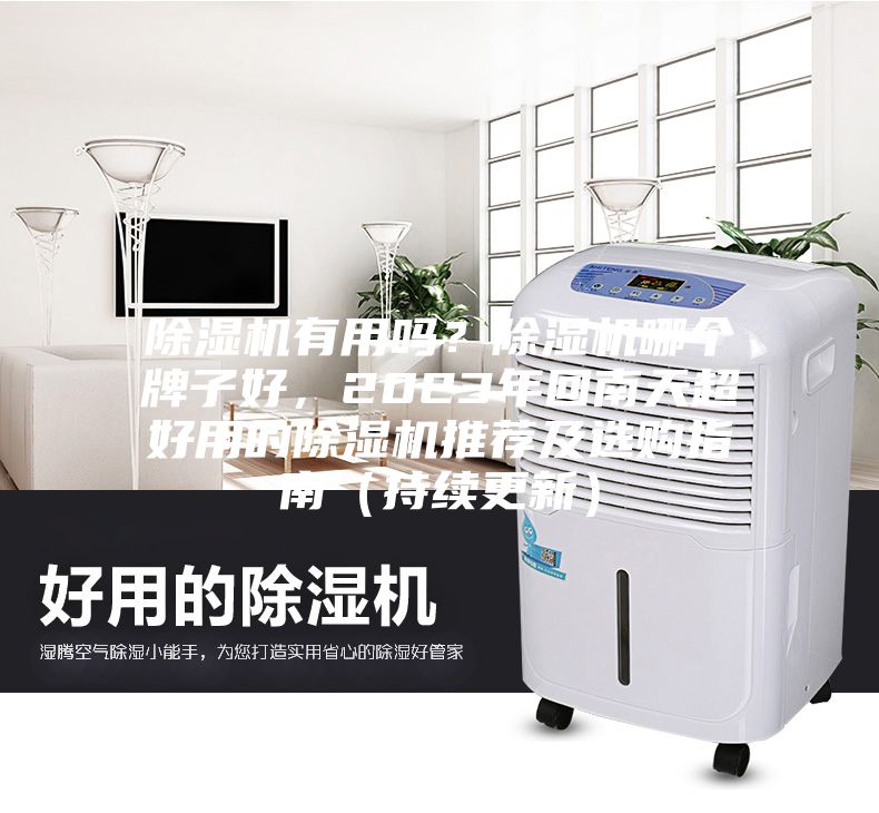 除濕機有用嗎？除濕機哪個牌子好，2023年回南天超好用的除濕機推薦及選購指南（持續更新）