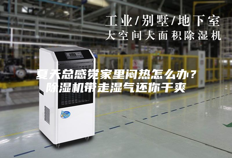 夏天總感覺家里悶熱怎么辦？除濕機(jī)帶走濕氣還你干爽