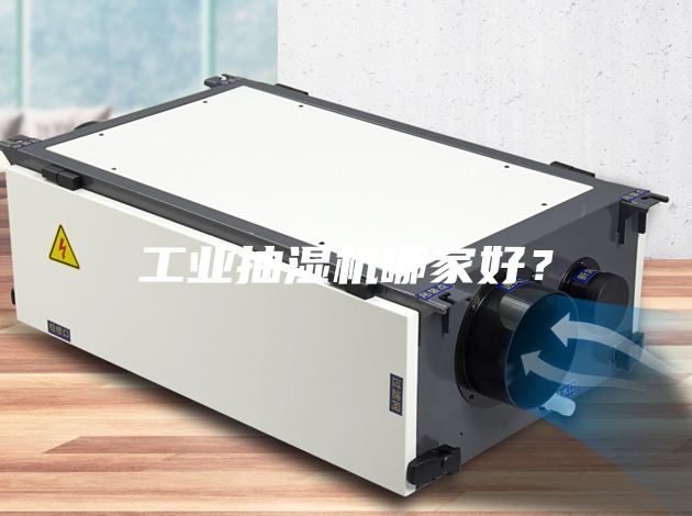 工業(yè)抽濕機(jī)哪家好?