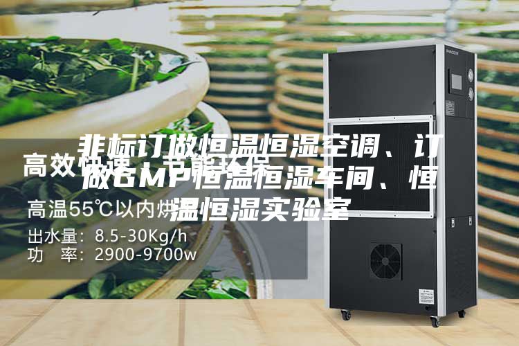 非標(biāo)訂做恒溫恒濕空調(diào)、訂做GMP恒溫恒濕車間、恒溫恒濕實驗室