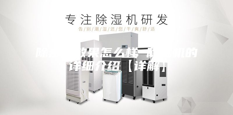 除濕機效果怎么樣 除濕機的詳細(xì)介紹【詳解】