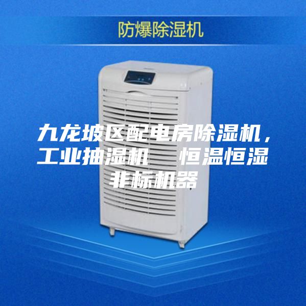 九龍坡區(qū)配電房除濕機，工業(yè)抽濕機  恒溫恒濕非標(biāo)機器