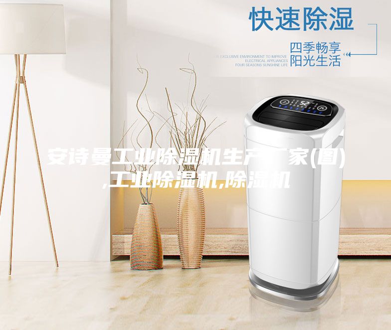 安詩曼工業除濕機生產廠家(圖),工業除濕機,除濕機