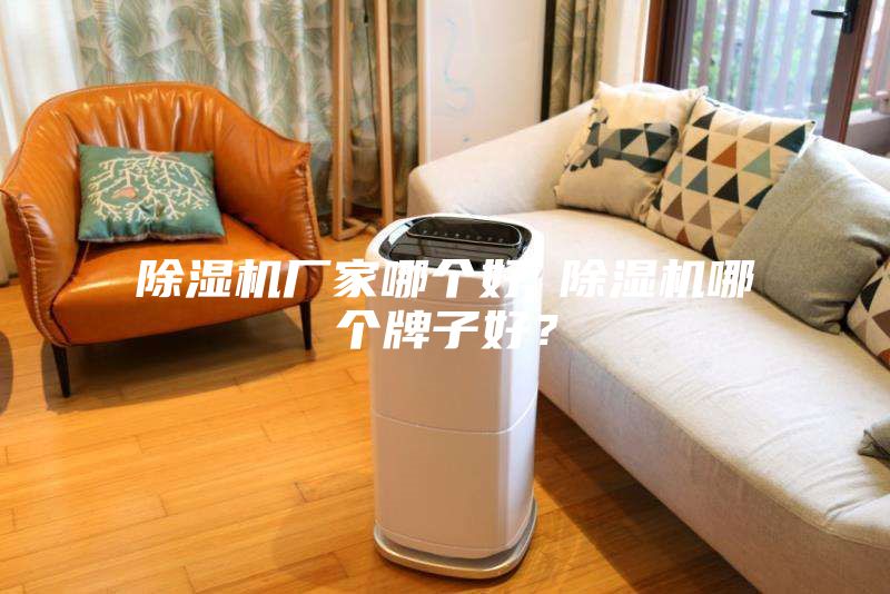 除濕機廠家哪個好 除濕機哪個牌子好？