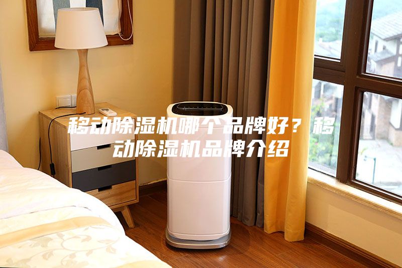 移動除濕機哪個品牌好？移動除濕機品牌介紹