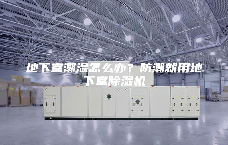 地下室潮濕怎么辦？防潮就用地下室除濕機