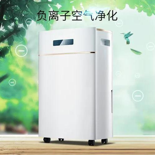了解濕度、露點以及如何影響你的健康和生活方式