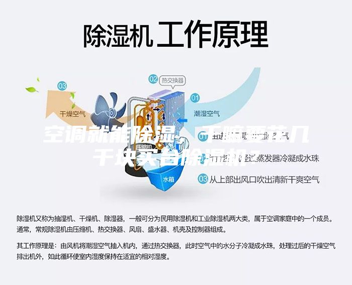 空調就能除濕，干嘛要花幾千塊買臺除濕機？