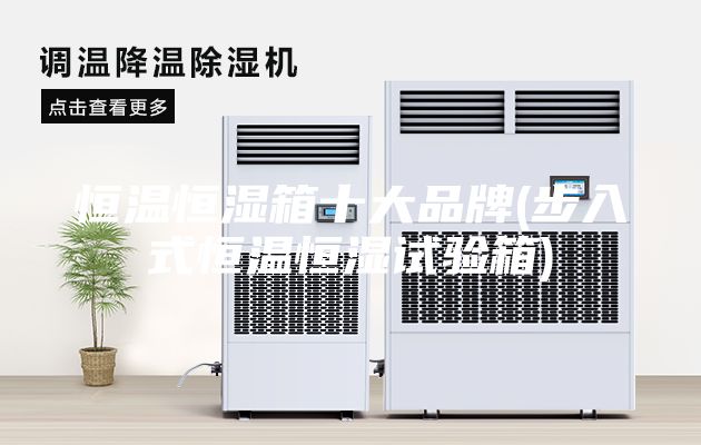 恒溫恒濕箱十大品牌(步入式恒溫恒濕試驗箱)