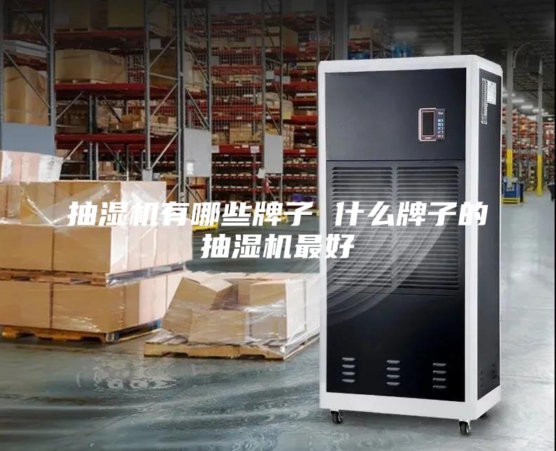 抽濕機有哪些牌子 什么牌子的抽濕機最好