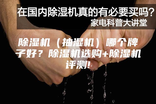 除濕機（抽濕機）哪個牌子好？除濕機選購+除濕機評測!