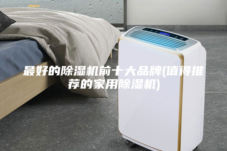 最好的除濕機前十大品牌(值得推薦的家用除濕機)