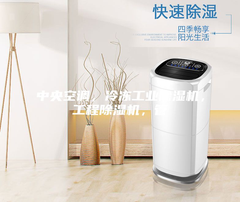 中央空調，冷凍工業(yè)除濕機，工程除濕機，管