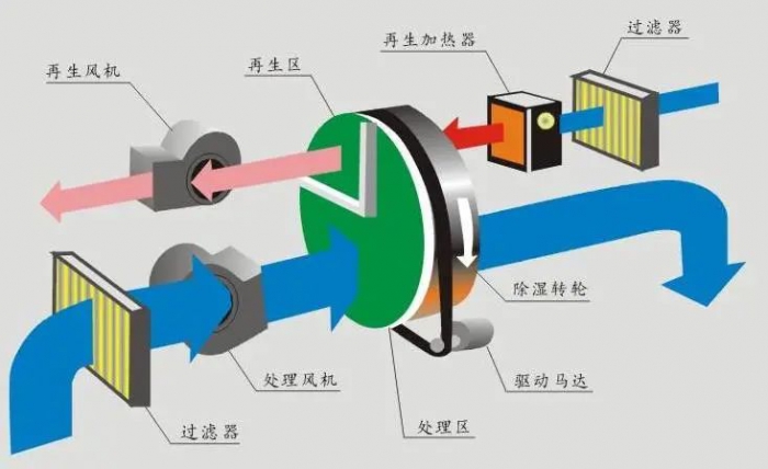廁所潮濕久而久之會生蟲還是？