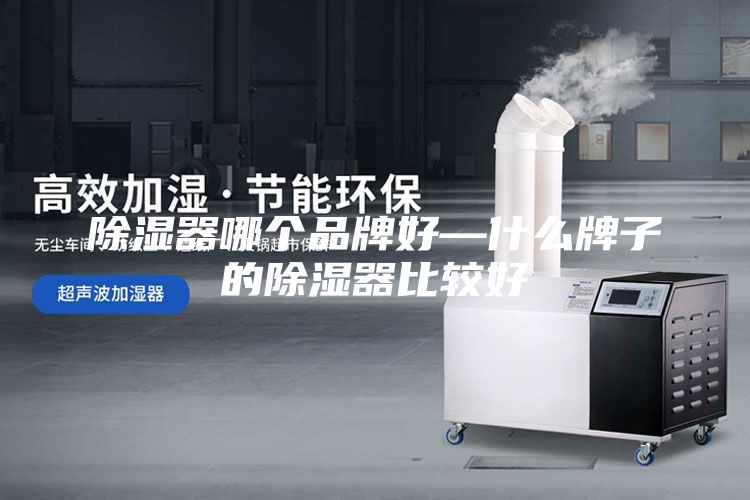 除濕器哪個品牌好—什么牌子的除濕器比較好