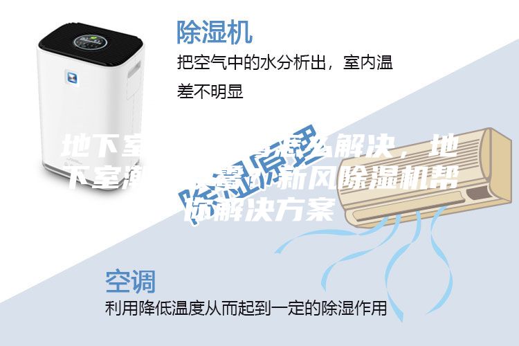 地下室潮濕發(fā)霉怎么解決，地下室潮濕發(fā)霉？新風(fēng)除濕機(jī)幫你解決方案