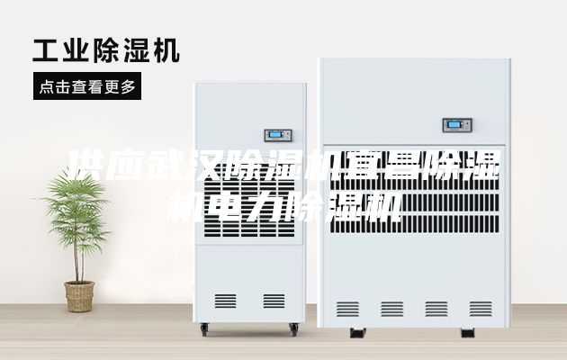 供應武漢除濕機宜昌除濕機電力除濕機