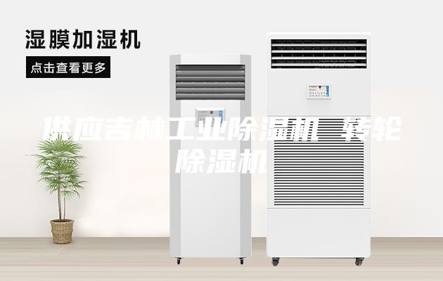 供應(yīng)吉林工業(yè)除濕機(jī) 轉(zhuǎn)輪除濕機(jī)
