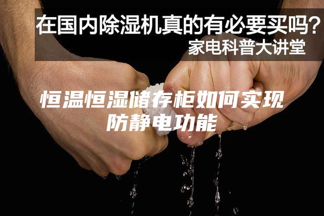 恒溫恒濕儲存柜如何實現防靜電功能