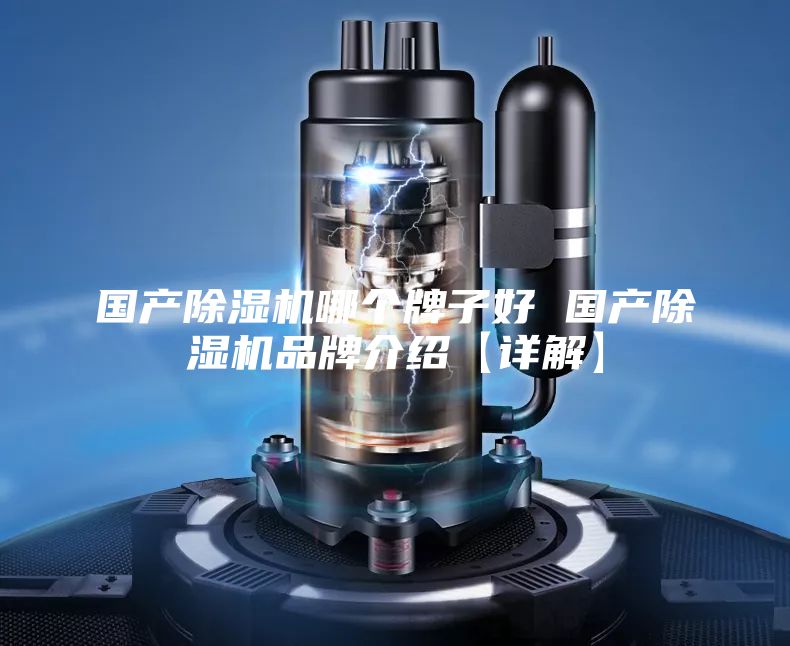 國產(chǎn)除濕機(jī)哪個(gè)牌子好 國產(chǎn)除濕機(jī)品牌介紹【詳解】