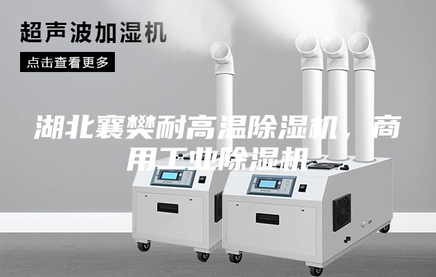 湖北襄樊耐高溫除濕機，商用工業除濕機