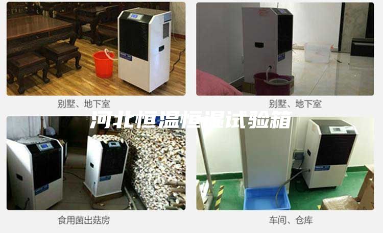 河北恒溫恒濕試驗箱