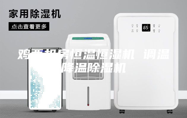 雞西機房恒溫恒濕機 調溫降溫除濕機