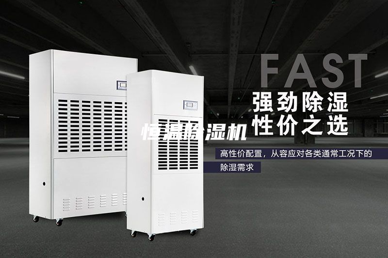 恒溫除濕機(jī)