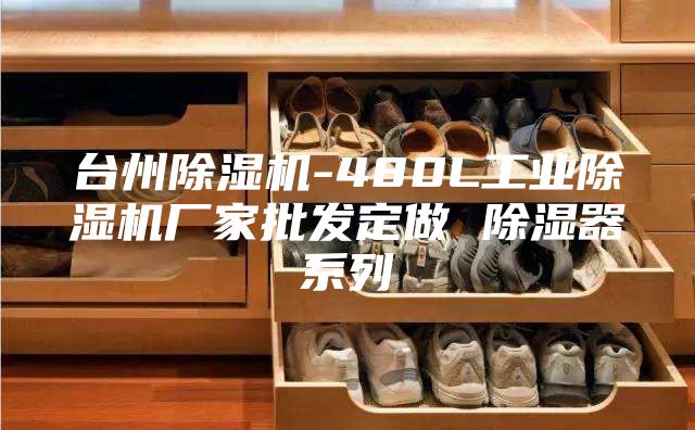 臺州除濕機(jī)-480L工業(yè)除濕機(jī)廠家批發(fā)定做 除濕器系列