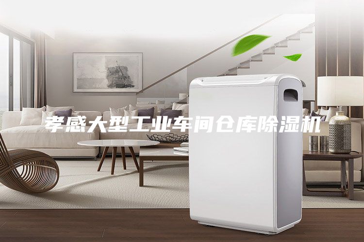 孝感大型工業(yè)車間倉庫除濕機