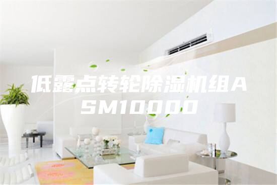 低露點轉(zhuǎn)輪除濕機組ASM10000