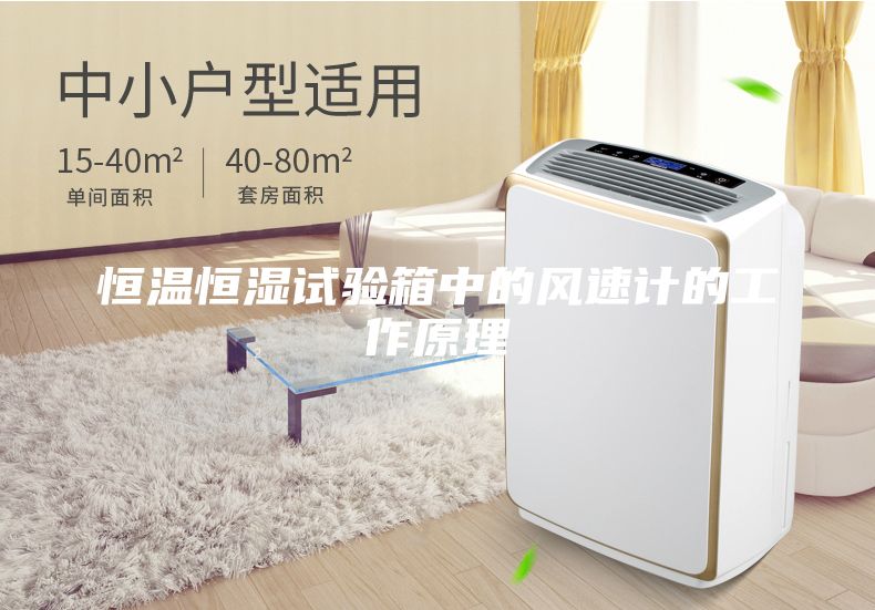 恒溫恒濕試驗(yàn)箱中的風(fēng)速計(jì)的工作原理