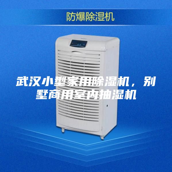 武漢小型家用除濕機，別墅商用室內抽濕機