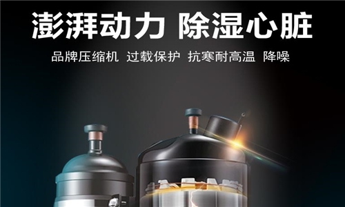 回南天家里潮濕怎么辦？——回南天防潮應急攻略