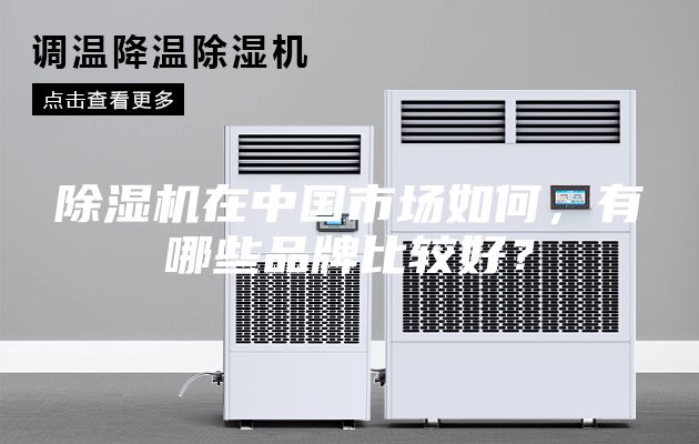 除濕機在中國市場如何，有哪些品牌比較好？