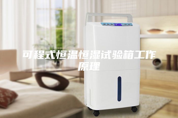 可程式恒溫恒濕試驗箱工作原理
