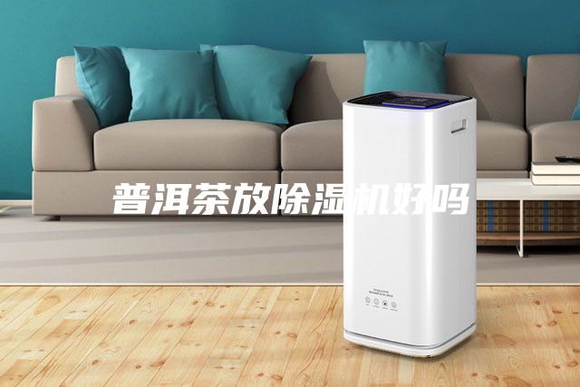 普洱茶放除濕機好嗎