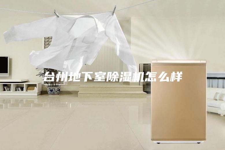 臺州地下室除濕機怎么樣